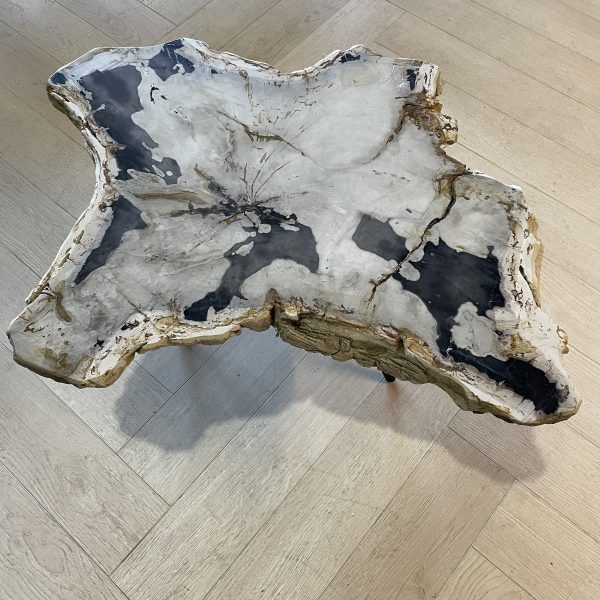 Versteend hout salontafel