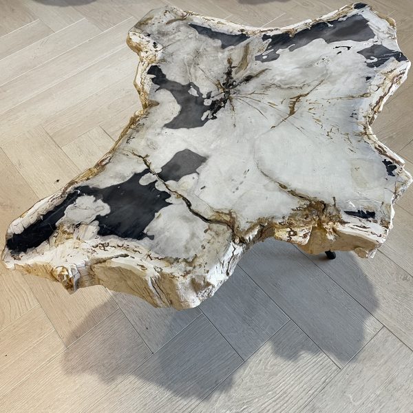 Versteend hout salontafel