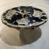 Couchtisch aus versteinertem Holz