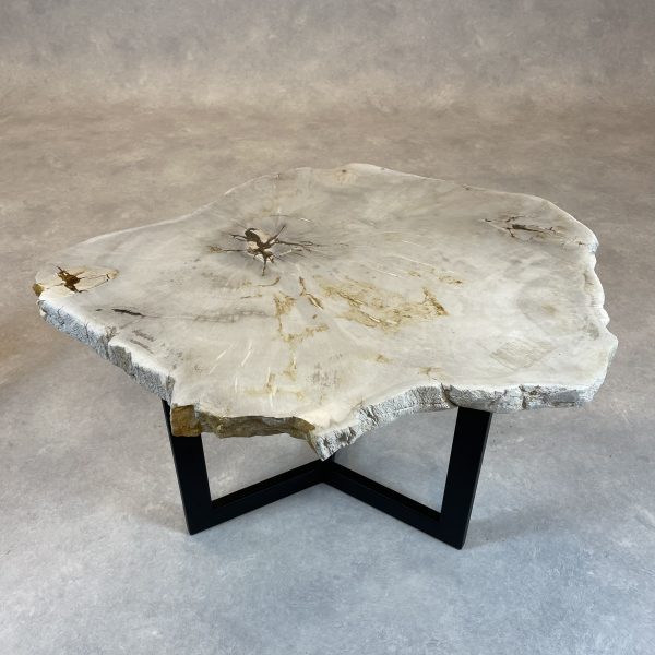 Couchtisch aus versteinertem Holz - Beige #299B11