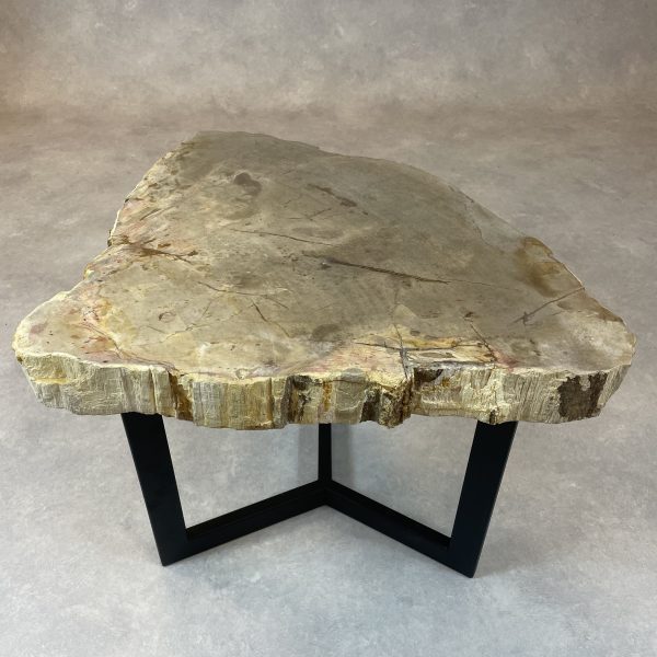 Versteend hout salontafel