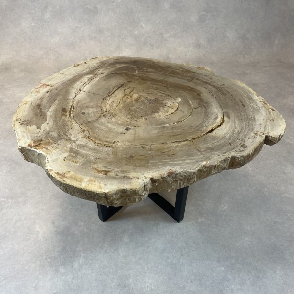 Couchtisch aus versteinertem Holz - Beige #342B8