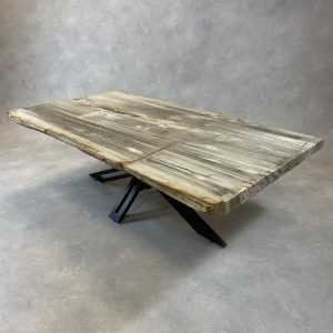 Versteend hout salontafel