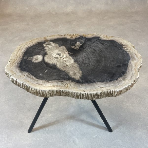 Couchtisch aus versteinertem Holz - Mix #17B1
