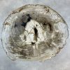 Couchtisch aus versteinertem Holz