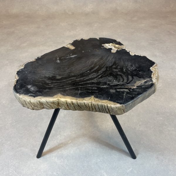 Couchtisch aus versteinertem Holz - Schwarz #411B17