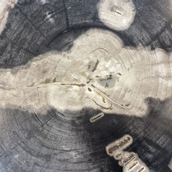 Couchtisch aus versteinertem Holz - Mix #17B1 – Bild 3