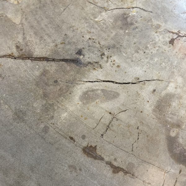 Versteend hout salontafel