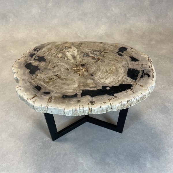 Versteend hout salontafel