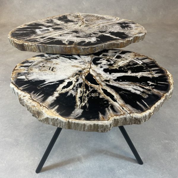 Versteend hout salontafel
