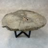 Couchtisch aus versteinertem Holz - Beige #345B8 – Bild 2