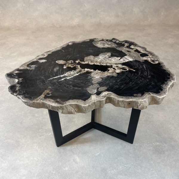Versteend hout salontafel