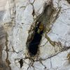 Couchtisch aus versteinertem Holz