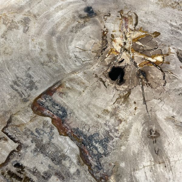 Versteend hout salontafel