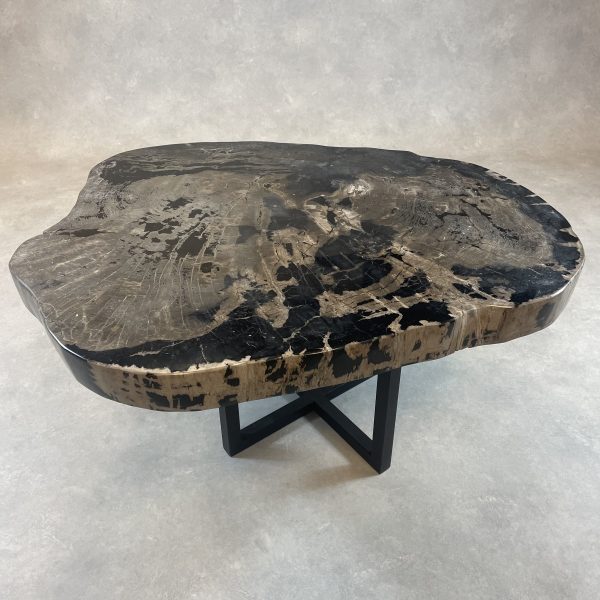 Versteend hout salontafel