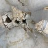 Couchtisch aus versteinertem Holz - Beige #345B8 – Bild 3