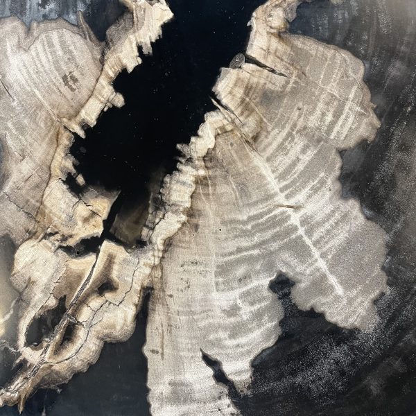 Versteend hout salontafel