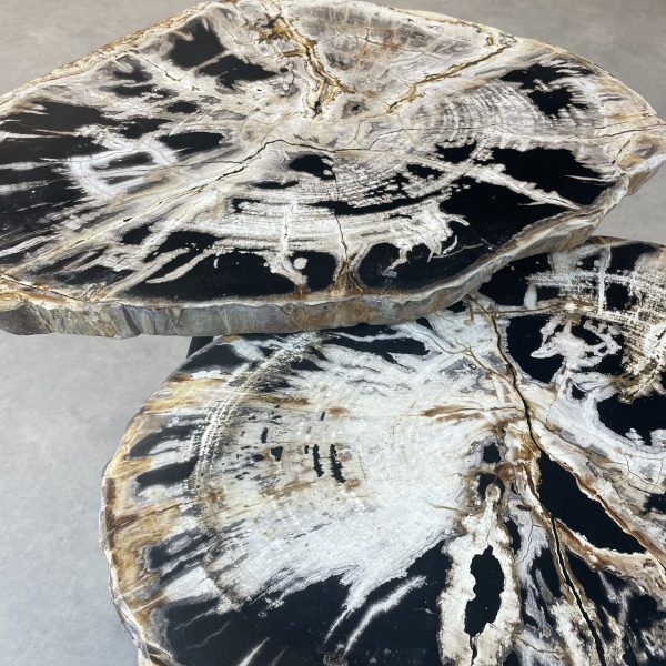 Versteend hout salontafel