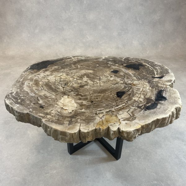 Versteend hout salontafel