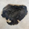 Couchtisch aus versteinertem Holz - Schwarz #411B17 – Bild 2
