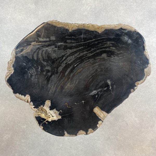 Couchtisch aus versteinertem Holz - Schwarz #411B17 – Bild 2