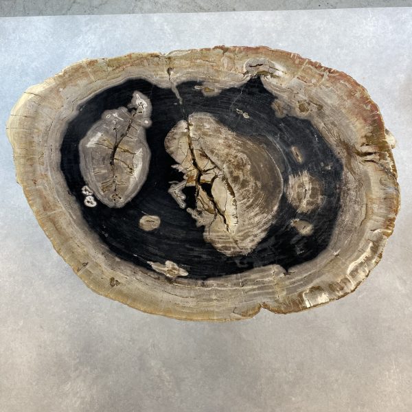 Dit prachtige blad van versteend hout is reeds miljoenen jaren oud. Ooit is het hout in de bodem terecht gekomen, al waar het langzaam is gaan ontbinden en de houtvezels zijn gaan kristalliseren door mineralen in de aardbodem. Het hout is dus een fossiel geworden. Door zijn bijzondere herkomst is elk tafelblad uniek, met eigen nerftekening en jaarringen.