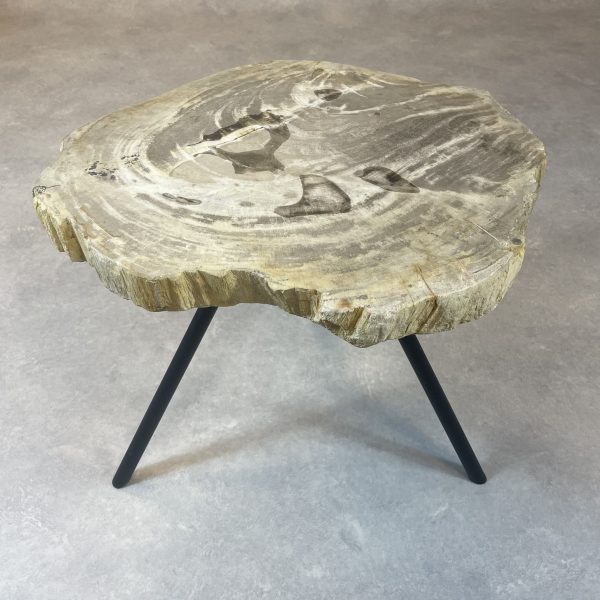 Versteend hout salontafel