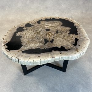 Couchtisch aus versteinertem Holz - Mix #34B7