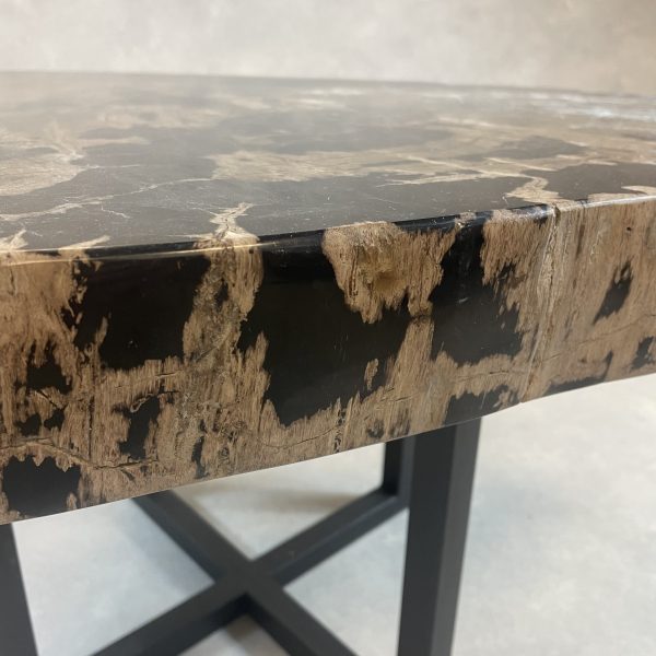 Versteend hout salontafel