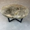 Couchtisch aus versteinertem Holz - Beige #159B17 – Bild 2