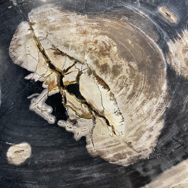 Dit prachtige blad van versteend hout is reeds miljoenen jaren oud. Ooit is het hout in de bodem terecht gekomen, al waar het langzaam is gaan ontbinden en de houtvezels zijn gaan kristalliseren door mineralen in de aardbodem. Het hout is dus een fossiel geworden. Door zijn bijzondere herkomst is elk tafelblad uniek, met eigen nerftekening en jaarringen.