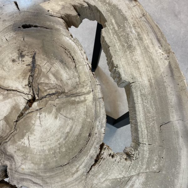 Versteend hout salontafel