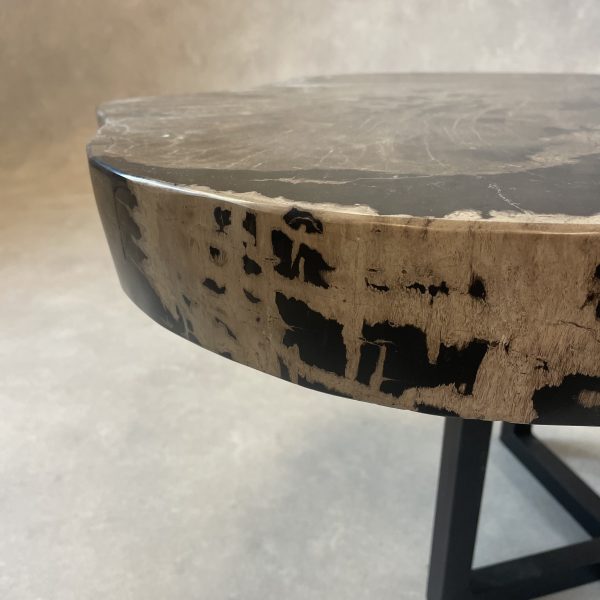 Versteend hout salontafel