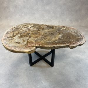 Versteend hout salontafel