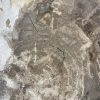 Couchtisch aus versteinertem Holz