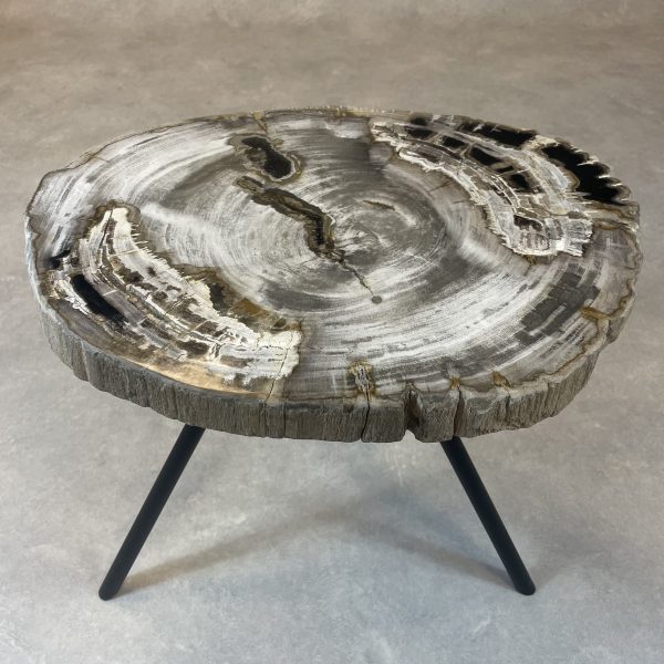 Couchtisch aus versteinertem Holz