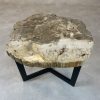 Couchtisch aus versteinertem Holz