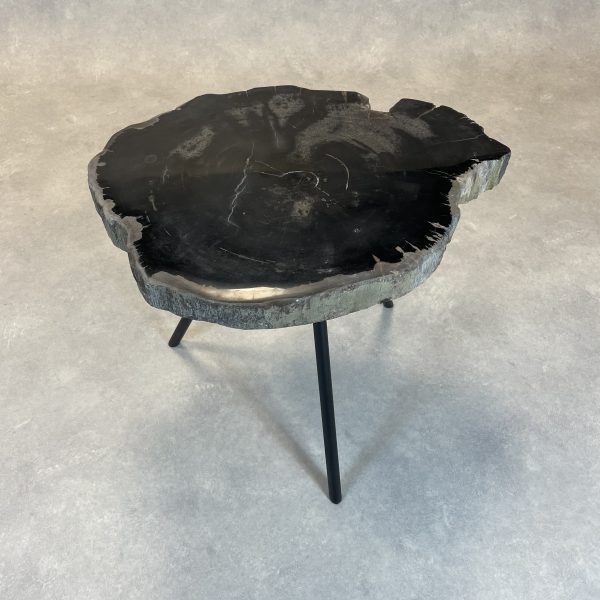 Couchtisch aus versteinertem Holz