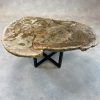 Versteend hout salontafel