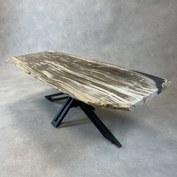 Versteend hout salontafel