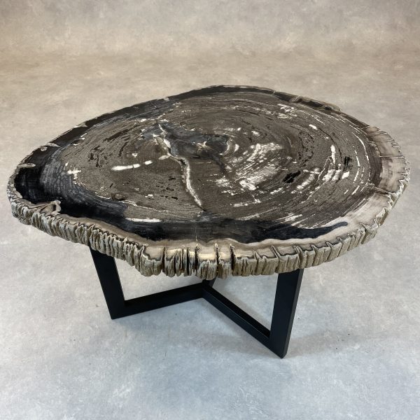 Versteend hout salontafel