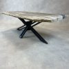 Couchtisch aus versteinertem Holz