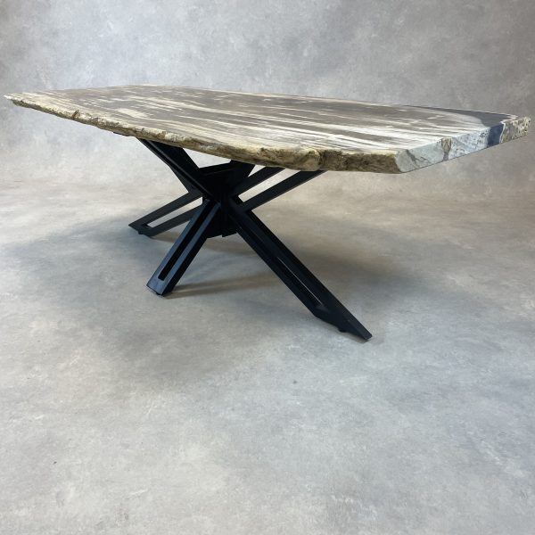 Versteend hout salontafel