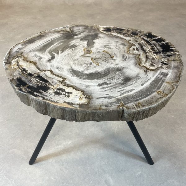 Couchtisch aus versteinertem Holz - Mix #31B1