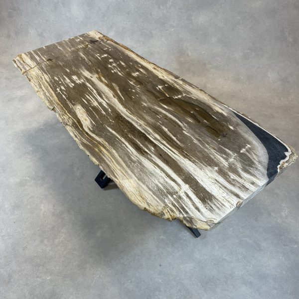 Versteend hout salontafel