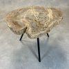 Versteend hout salontafel