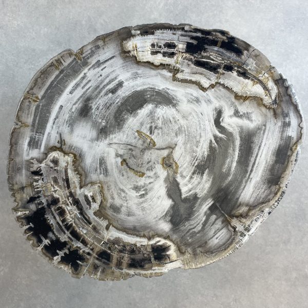 Couchtisch aus versteinertem Holz - Mix #31B1 – Bild 3
