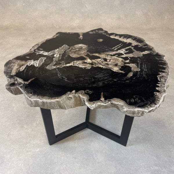 Couchtisch aus versteinertem Holz - Schwarz #484B21