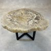 Versteend hout salontafel