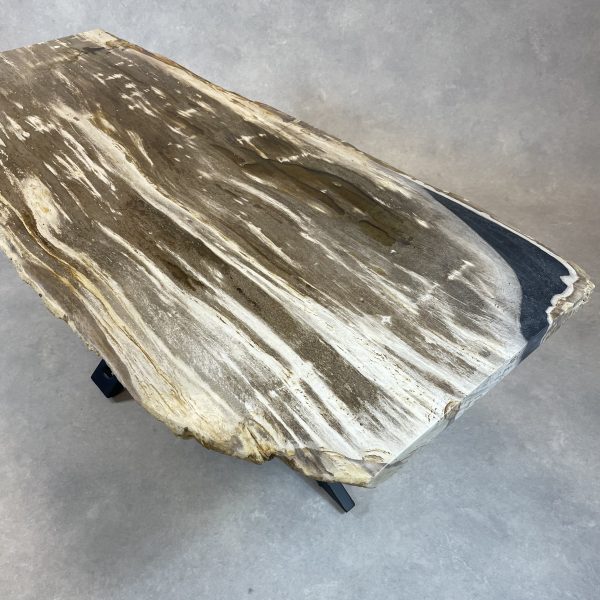 Versteend hout salontafel